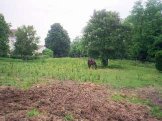 IMG023.JPG